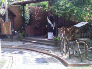 Museums & Cultural Exhibits